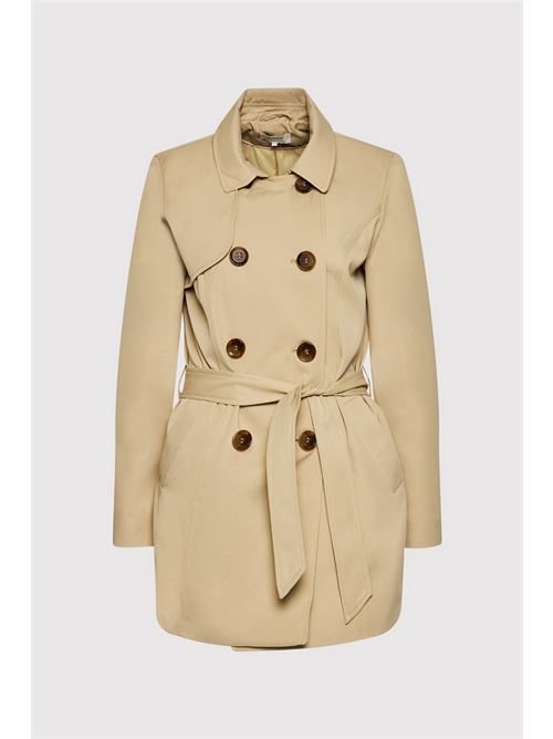  ONLY | 15191821/Ginger Root